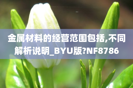 金属材料的经营范围包括,不同解析说明_BYU版?NF8786