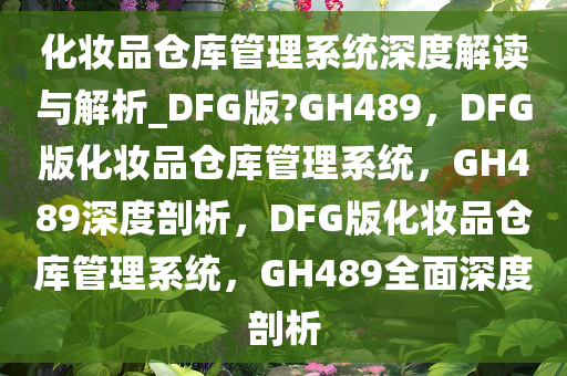 化妆品仓库管理系统深度解读与解析_DFG版?GH489，DFG版化妆品仓库管理系统，GH489深度剖析，DFG版化妆品仓库管理系统，GH489全面深度剖析