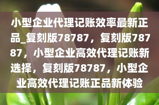 小型企业代理记账效率最新正品_复刻版78787，复刻版78787，小型企业高效代理记账新选择，复刻版78787，小型企业高效代理记账正品新体验