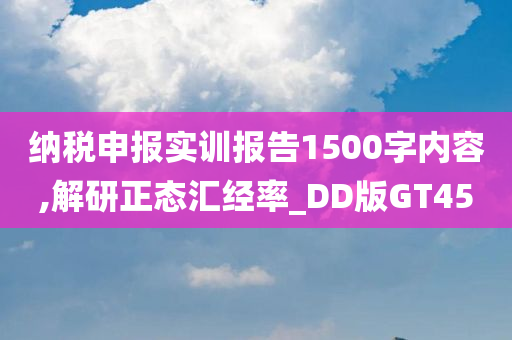 纳税申报实训报告1500字内容,解研正态汇经率_DD版GT45