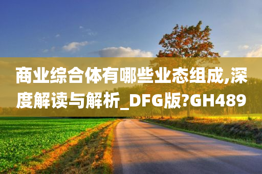 商业综合体有哪些业态组成,深度解读与解析_DFG版?GH489