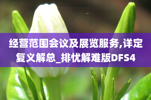 经营范围会议及展览服务,详定复义解总_排忧解难版DFS4