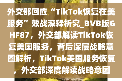 外交部回应“TikTok恢复在美服务”效战深释析究_BVB版GHF87，外交部解读TikTok恢复美国服务，背后深层战略意图解析，TikTok美国服务恢复，外交部深度解读战略意图