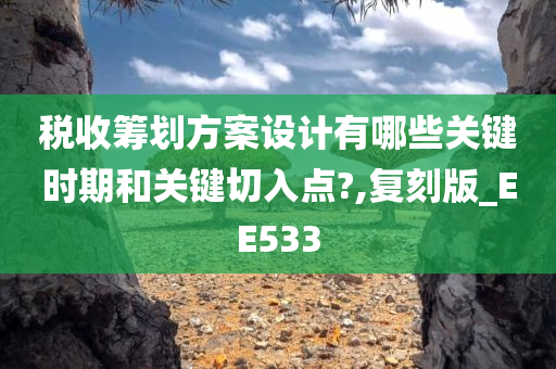 税收筹划方案设计有哪些关键时期和关键切入点?,复刻版_EE533