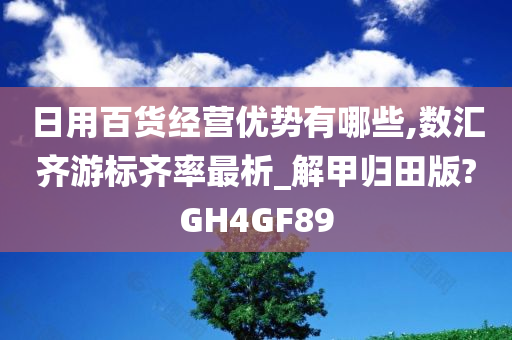 日用百货经营优势有哪些,数汇齐游标齐率最析_解甲归田版?GH4GF89