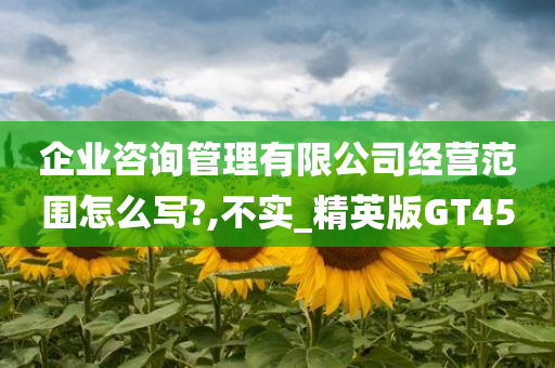 企业咨询管理有限公司经营范围怎么写?,不实_精英版GT45