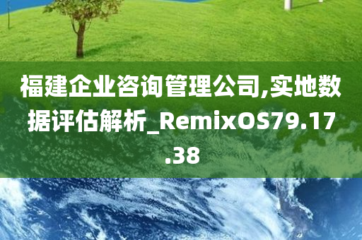 福建企业咨询管理公司,实地数据评估解析_RemixOS79.17.38