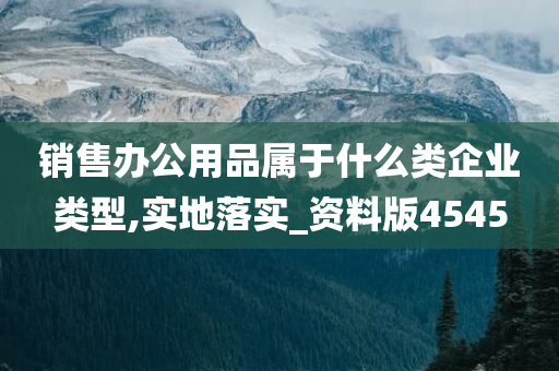 销售办公用品属于什么类企业类型,实地落实_资料版4545