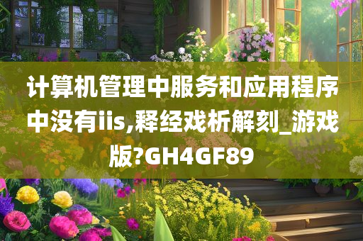 计算机管理中服务和应用程序中没有iis,释经戏析解刻_游戏版?GH4GF89