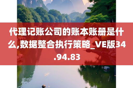 代理记账公司的账本账册是什么,数据整合执行策略_VE版34.94.83