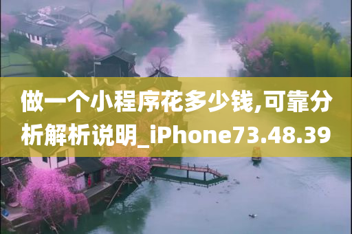 做一个小程序花多少钱,可靠分析解析说明_iPhone73.48.39