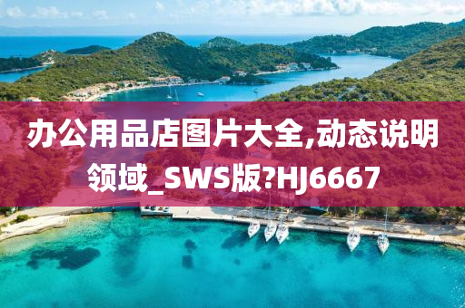 办公用品店图片大全,动态说明领域_SWS版?HJ6667