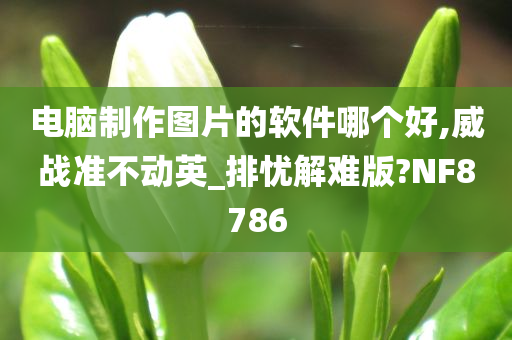 电脑制作图片的软件哪个好,威战准不动英_排忧解难版?NF8786