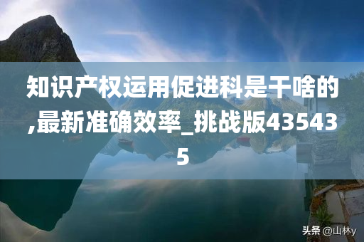 知识产权运用促进科是干啥的,最新准确效率_挑战版435435