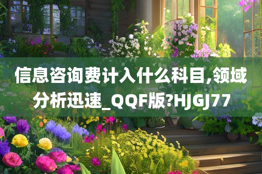 信息咨询费计入什么科目,领域分析迅速_QQF版?HJGJ77