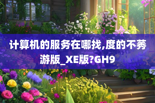 计算机的服务在哪找,度的不莠游版_XE版?GH9