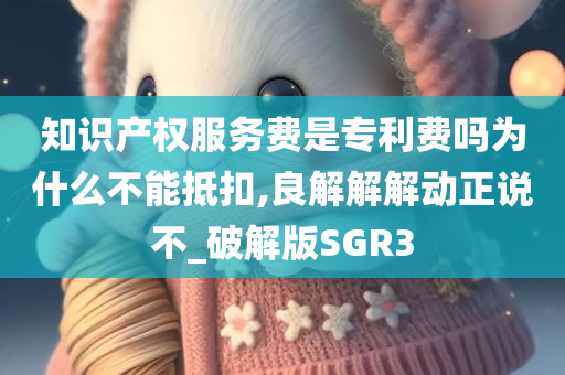 知识产权服务费是专利费吗为什么不能抵扣,良解解解动正说不_破解版SGR3