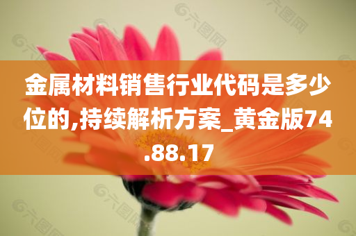 金属材料销售行业代码是多少位的,持续解析方案_黄金版74.88.17