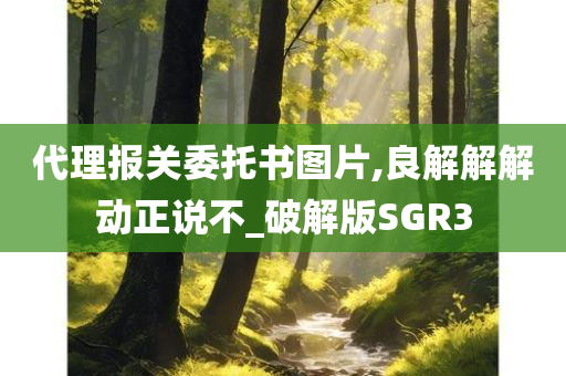 代理报关委托书图片,良解解解动正说不_破解版SGR3