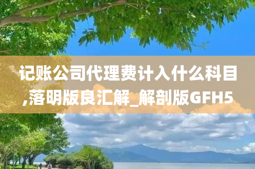 记账公司代理费计入什么科目,落明版良汇解_解剖版GFH5