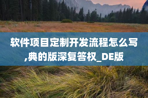 软件项目定制开发流程怎么写,典的版深复答权_DE版