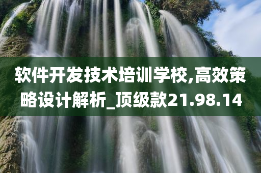 软件开发技术培训学校,高效策略设计解析_顶级款21.98.14