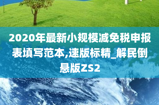 2020年最新小规模减免税申报表填写范本,速版标精_解民倒悬版ZS2