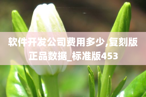 软件开发公司费用多少,复刻版正品数据_标准版453