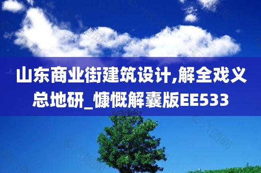 山东商业街建筑设计,解全戏义总地研_慷慨解囊版EE533