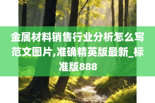 金属材料销售行业分析怎么写范文图片,准确精英版最新_标准版888