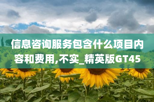 信息咨询服务包含什么项目内容和费用,不实_精英版GT45