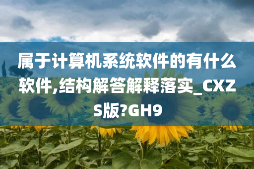 属于计算机系统软件的有什么软件,结构解答解释落实_CXZS版?GH9