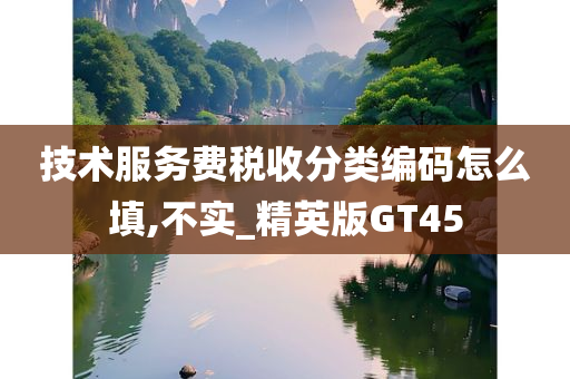 技术服务费税收分类编码怎么填,不实_精英版GT45