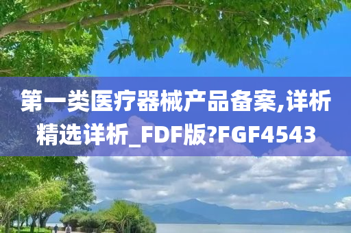 第一类医疗器械产品备案,详析精选详析_FDF版?FGF4543