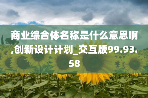 商业综合体名称是什么意思啊,创新设计计划_交互版99.93.58