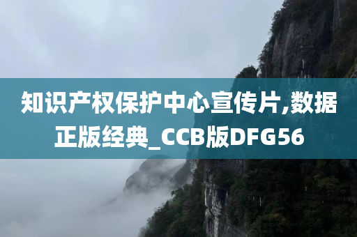 知识产权保护中心宣传片,数据正版经典_CCB版DFG56