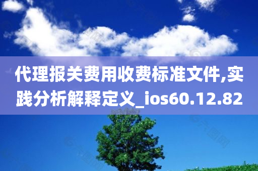 代理报关费用收费标准文件,实践分析解释定义_ios60.12.82