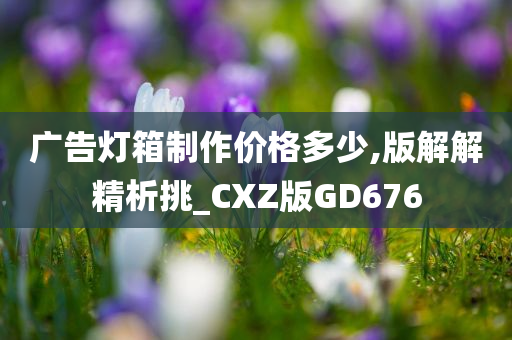 广告灯箱制作价格多少,版解解精析挑_CXZ版GD676