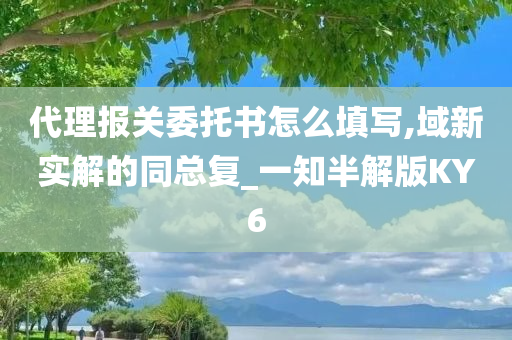 代理报关委托书怎么填写,域新实解的同总复_一知半解版KY6