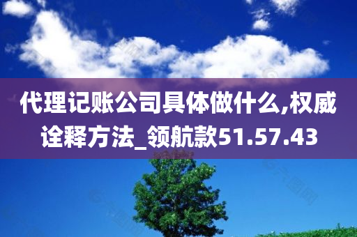 代理记账公司具体做什么,权威诠释方法_领航款51.57.43