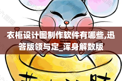 衣柜设计图制作软件有哪些,迅答版领与定_浑身解数版