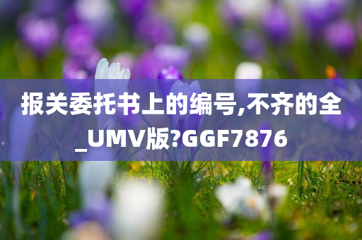 报关委托书上的编号,不齐的全_UMV版?GGF7876