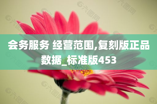 会务服务 经营范围,复刻版正品数据_标准版453