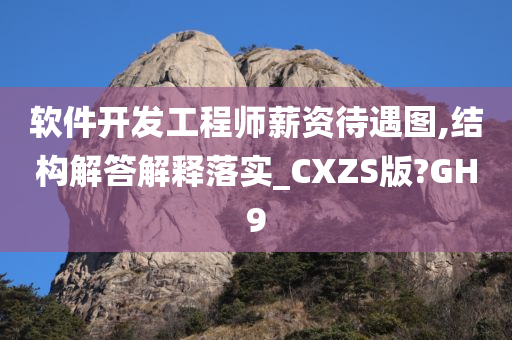 软件开发工程师薪资待遇图,结构解答解释落实_CXZS版?GH9