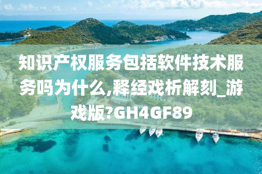 知识产权服务包括软件技术服务吗为什么,释经戏析解刻_游戏版?GH4GF89