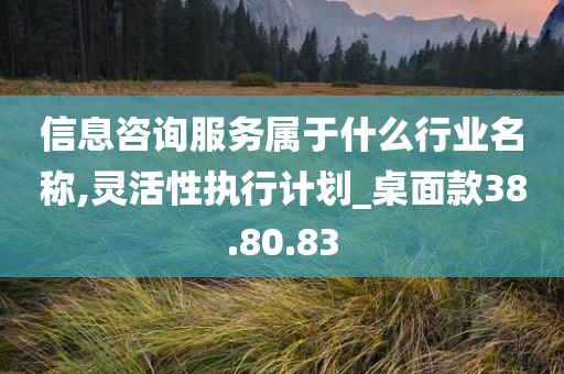 信息咨询服务属于什么行业名称,灵活性执行计划_桌面款38.80.83