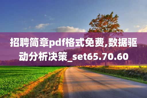 招聘简章pdf格式免费,数据驱动分析决策_set65.70.60