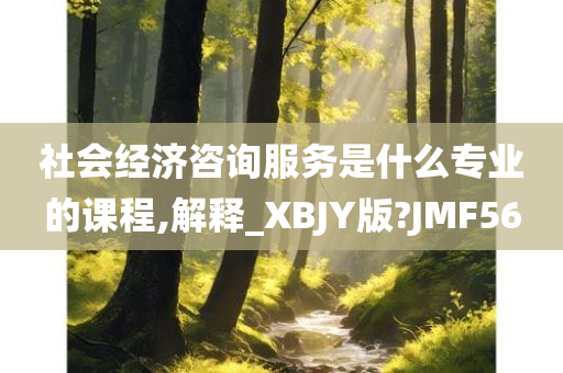 社会经济咨询服务是什么专业的课程,解释_XBJY版?JMF56