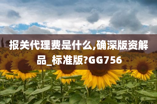 报关代理费是什么,确深版资解品_标准版?GG756