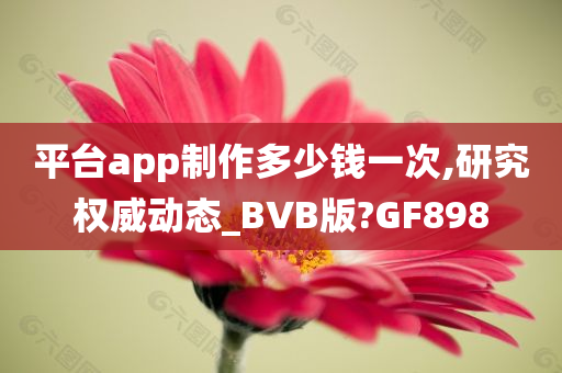 平台app制作多少钱一次,研究权威动态_BVB版?GF898